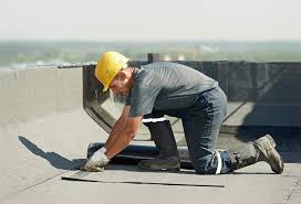 Best Asphalt Shingle Roofing  in Brownlee Park, MI